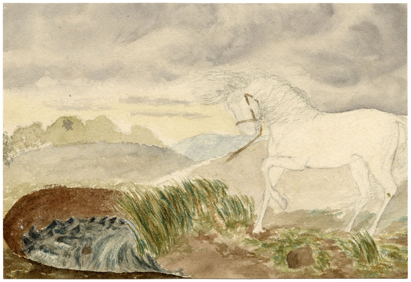 Hunter, Berwickshire Coast, Scottish Borders – 1870s watercolour painting