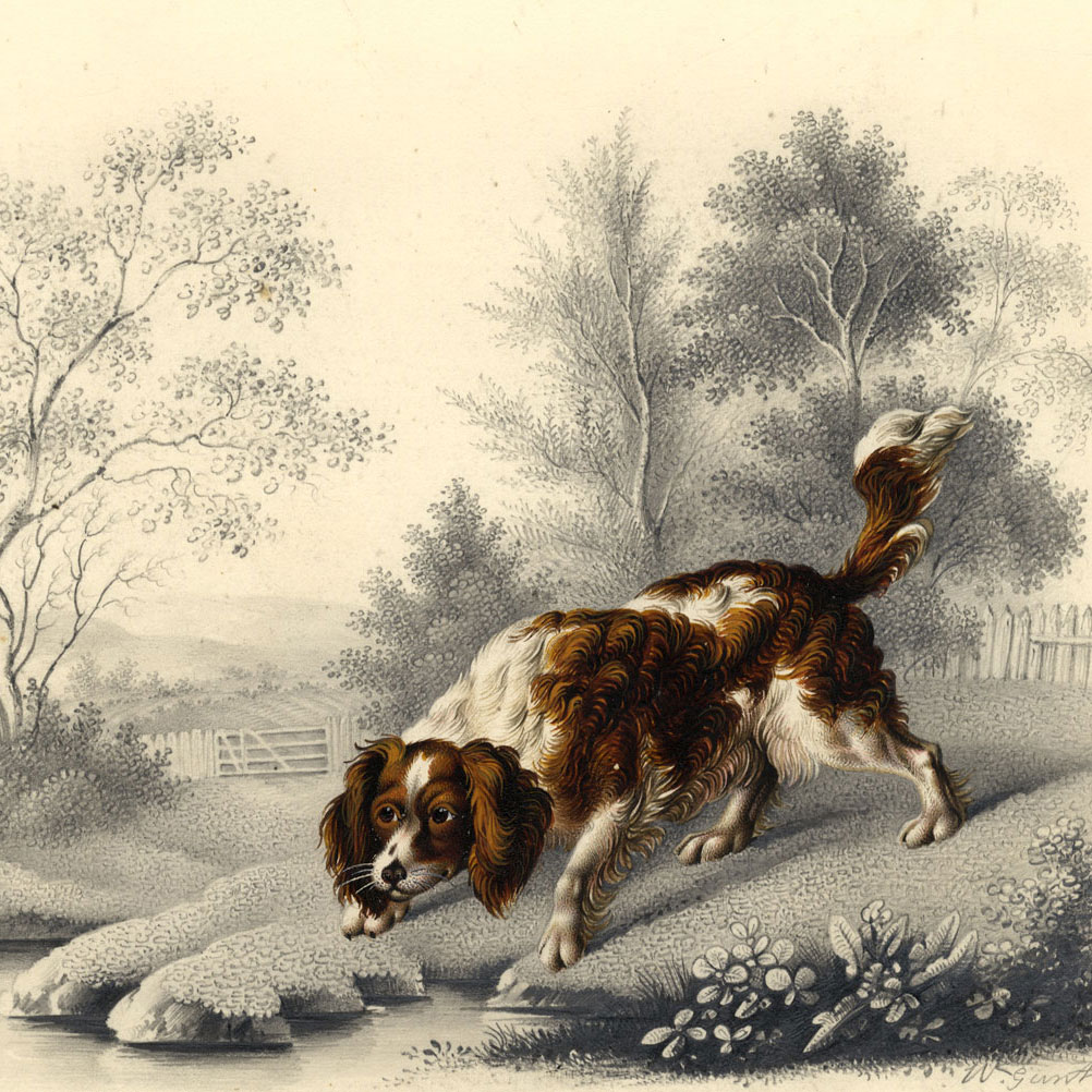 Horses | Hounds | Game: Fine Early 19th-century Drawings