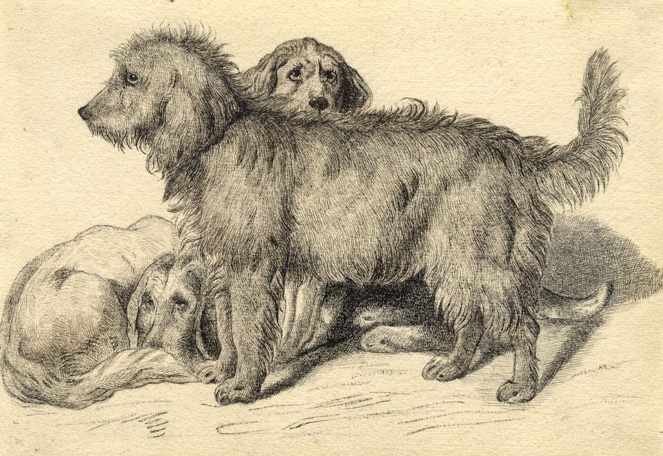 Three Dogs After Sir Edwin Landseer Late 19th Century Pen Ink Drawing