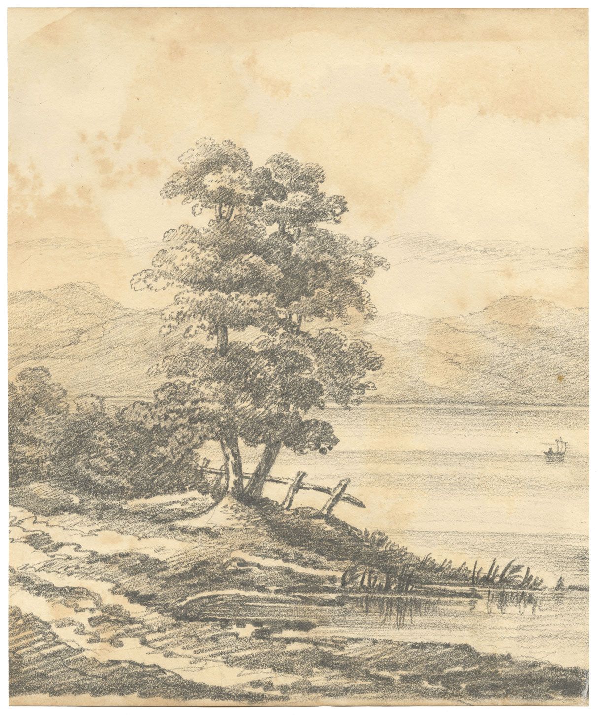 Henry William Burgess, Lakeside Tree Study – Original c.1830s graphite ...